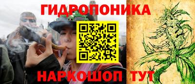 прущие грибы Заволжье