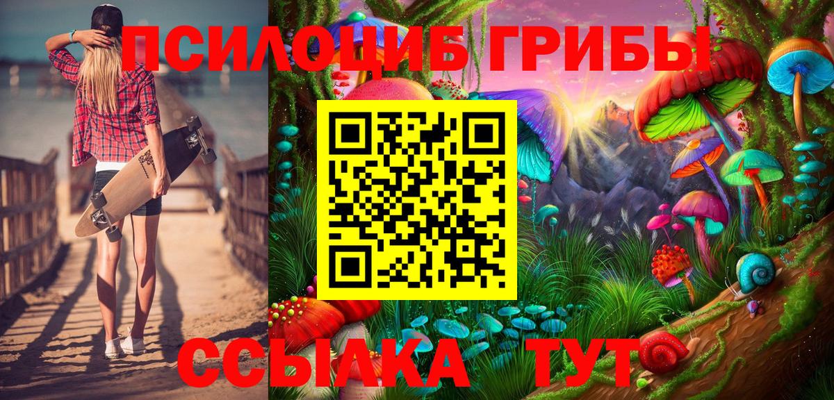 Псилоцибиновые грибы Psilocybine cubensis  Вход с VPN  Карабулак  продажа наркотиков  Псилоцибиновые грибы Cubensis 