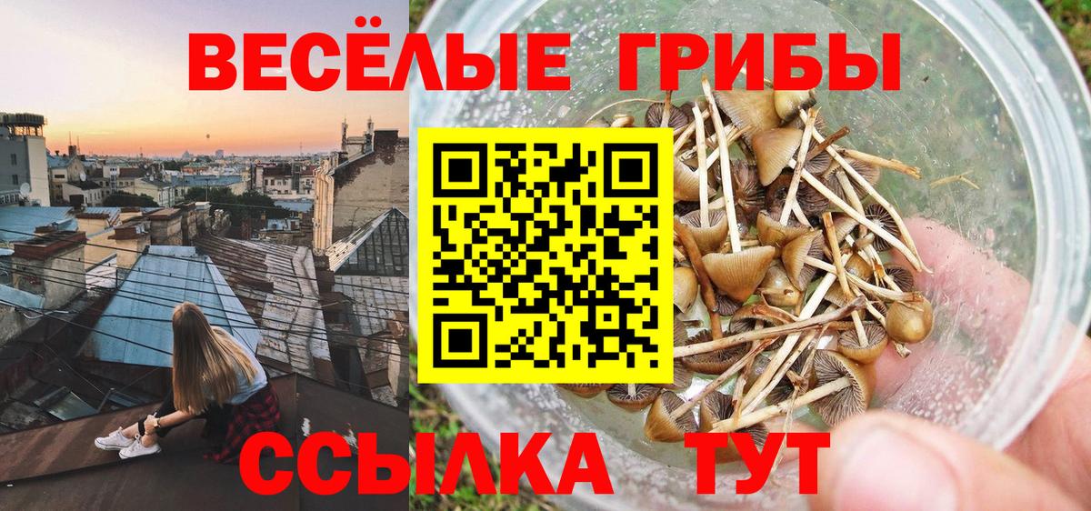 Галлюциногенные грибы GOLDEN TEACHER Карабулак